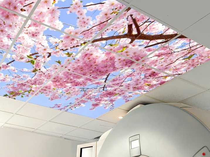 Virtual SkylightC herry Blossom